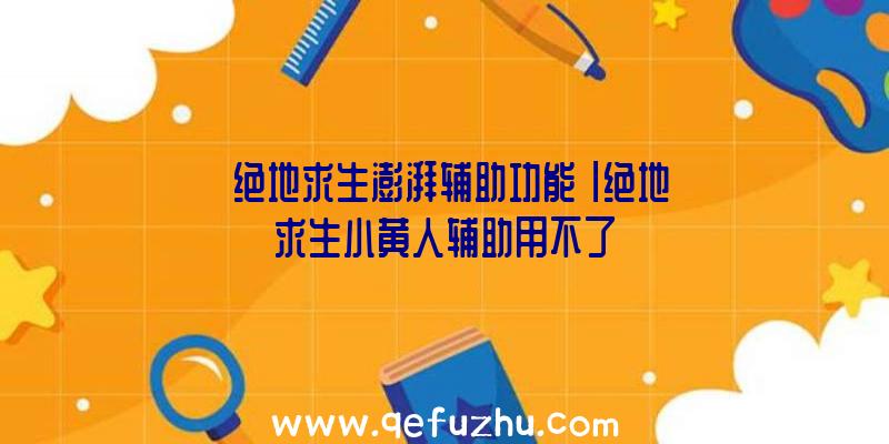 「绝地求生澎湃辅助功能」|绝地求生小黄人辅助用不了